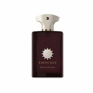 عطر مردانه آمواج باندلس 100 میل ادو پرفیوم-AMOUAGE BOUNDLESS